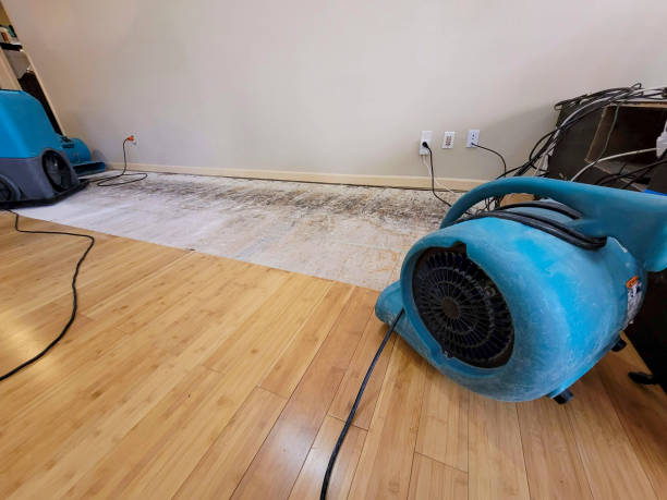 Professional Sewage Cleanup technician working in Claude, TX